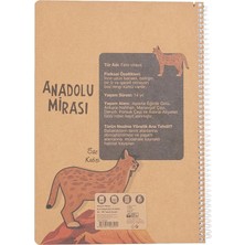 MSP Anadolu Mirası Spiralli Defter, A4, 100 Yaprak, 70G Kağıt, Çizgili, 500 Mikron Pp Kapak, Pet Spiralli, Asorti Renkler, Dayanıklı ve Ergonomik Kullanım