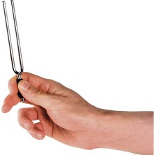 MSP Waves Pwtf-A Guitar Tuners Tuning Fork Frequenz A440Hz Verchromter Stahl