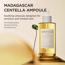MSP Madagascar Centella Ampoule 100 ml