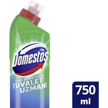 MSP Tuvalet Temizleyici Renk Değiştiren Tuvalet Uzmanı Kireç Çözücü 750 ml 1 Adet