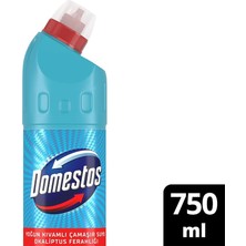 Okaliptüs Ferahlığı Yoğun Kıvamlı Çamaşır Suyu (1 x 750 Ml)