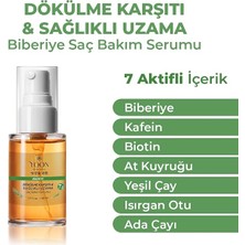 MSP Vegan Biberiye Saç Bakım Serumu - Saç Dökülme Karşıtı, Hızlı Saç Uzatan, Sülfat, Paraben ve Silikon Içermeyen, 7 Doğal Aktif Içerikli, Besleyici ve Güçlendirici Saç ve Saç Derisi Serumu 50ML