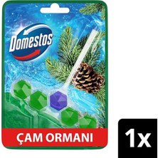 MSP Wc Blok 5'li Güç Tuvalet Bloğu Çam Ferahlığı Maksimum Hijyen 50 G
