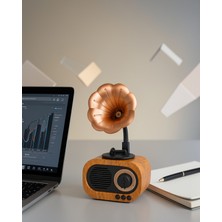 Teknodayım Retro Stil Bluetooth Hoparlör 5W USB Hafıza Kartlı