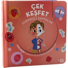 Masalperest Çek Keşfet Insan Vücudu