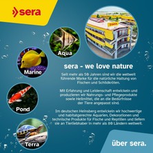 Str Store Kızılağaç Kozalağı 50 Adet