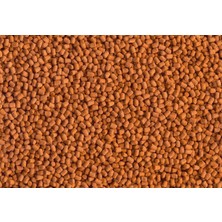 Str Store Cichlid Shrimp Sticks 250 Ml/85 gr
