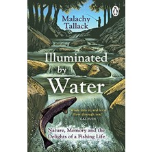 StepCo Illuminated By Water: Nature, Memory And The Delights Of A Fishing Life