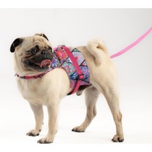 StepCo Kaçış Önleyici Ayarlanabilir Küçük Irk ve Büyük Irk Köpek Göğüs Tasma Seti ve Gezdirme Ipi (Etnik Pembe, 2xl)