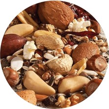 Str Store Versele Laga Exotic Nuts 750 gr Papağan Yemi