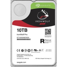 Seagate 10 Tb 7200 256MB ST10000NE0004 E-Nas Disk