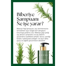 StepCo Biberiye Şampuanı Dökülme Karşıtı ve Hızlı Uzamaya Yardımcı Keratin ve Kolajen Özlü 250 ml