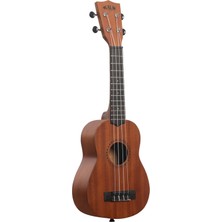 Learn To Play Ukulele Başlangıç Seti