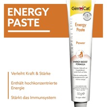 StepCo Energy Kedi Macunu 50GR