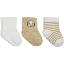 Uravas Store Urprime Dog Boy 3'lü Penye Soket Çorap 10134 Ekru