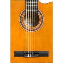 MSP Elektro Klasik Gitar 4/4 Kılıf Pena