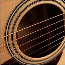 MSP Akustik Gitar Bm-12