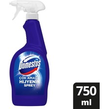 MSP Çok Amaçlı Hijyenik Çamaşır Suyu Katkılı Temizlik Spreyi 750 ml