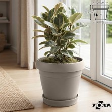 Bomii Tabaklı Delikli Plastik Çiçek Saksısı, 29 cm 9 Lt, 1 Adet, Bej