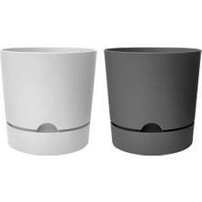 Bomii Begonya Saksı Tabaklı Drenajlı Mat Plastik Çiçek Saksısı (2 Adet, 1,8 Litre, 15CM, Beyaz&gri)