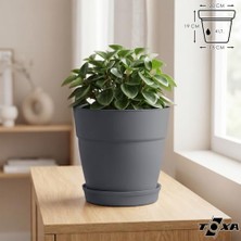 Bomii Tabaklı Delikli Plastik Çiçek Saksısı, 20 cm 4 L, 1 Adet, Antrasit
