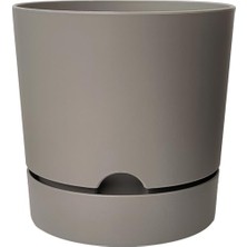 Bomii Begonya Saksı Tabaklı Drenajlı Mat Plastik Çiçek Saksısı (1 Adet, 1,8 Litre, 15CM, Bej)