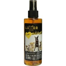 Bomii Evcil Hayvan Parfümü, Kedi & Köpek Koku Giderici, Star, 200 ml 8495996525651
