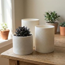 Bomii Comes - Kumru 3'lü Minimalist Dekoratif Saksı Seti (Beyaz)
