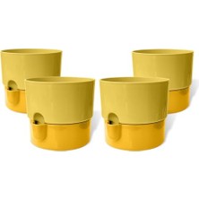 Bomii Dora Saksı Tabaklı Çiçek Kaktüs Saksısı Parlak Plastik Saksı (4 Adet, Sarı, 2l, 16CM)