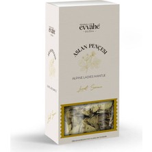 Aslan Pençesi (50 Gr.)
