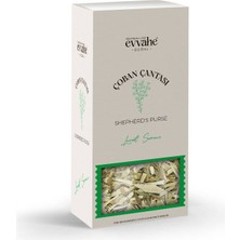 Çoban Çantası (50 Gr.)