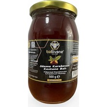 Ceylan Adam Karakovan Kestane Balı Süzme 500 Gr. - Yeni Sezon