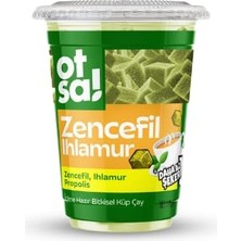 Trendexa Zencefil ve Ihlamur Harmanlı Bitkisel Destek Çayı – 170 G