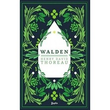 TeknoKapsül Walden - Ormanda Yaşam