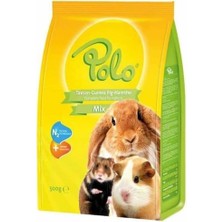 Rafta Polo Mix Tavşan Kemirgen Yemi 500 gr