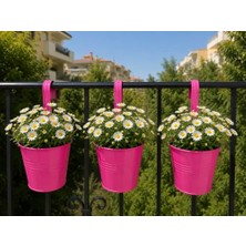 Defne Store Askılı Balkon Saksı Seti, 3 Adet, Metal, Şeker Pembe 1,5lt