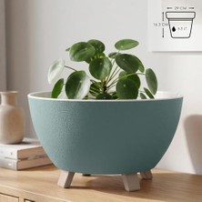 Defne Store Saksı, Sora Süzgeçli Ayaklı Delikli Plastik Aranjman Sukulent Saksısı (Yeşil, 6.3 L)