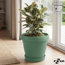 Defne Store Tabaklı Delikli Plastik Çiçek Saksısı, 29 cm 9 Lt, 1 Adet, Yeşil