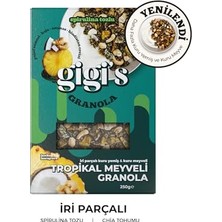 Defne Store Gigi's Tropikal Meyveli Granola 250 G