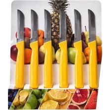 Defne Store 6'lı Meyve Bıçağı Seti – Paslanmaz Çelik Meyve & Sebze Bıçakları, Ergonomik Saplı