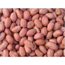 Trendexa Osmaniye Çiğ Fıstık Içi Duble, 1 kg