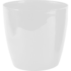 brand-icon