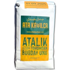 brand-icon