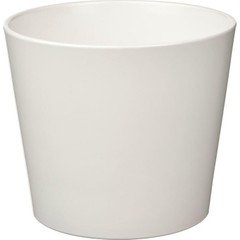 brand-icon