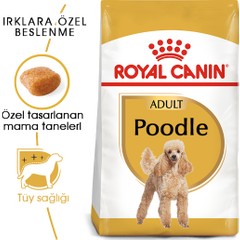 brand-icon