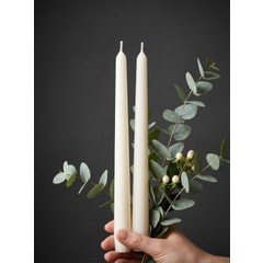 brand-icon