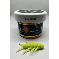 Yeni Koleksiyon