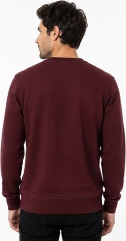 Lacoste Bisiklet Yaka Vişne Regular Fit görsel 4