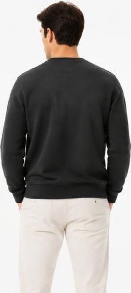 Lacoste Bisiklet Yaka Regular Fit Haki görsel 2