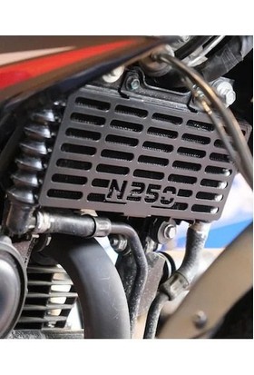 Aras Moto Bajaj Pulsar N250 Radyatör Koruma - Arasmoto